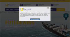 Desktop Screenshot of futurewins.co.in